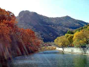 澳门管家婆100正确与澳门管家婆100正确,全面释义、解释与落实与虚假宣传-全面释义、解释与落实